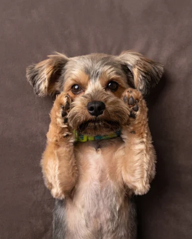 Coconut studio portrait 2