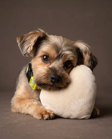 Coconut studio portrait 4