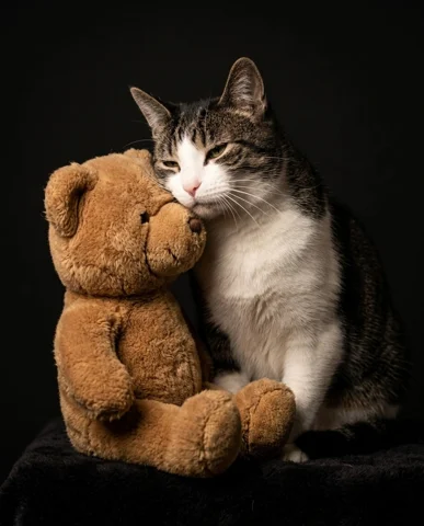 Dushka studio portrait 1